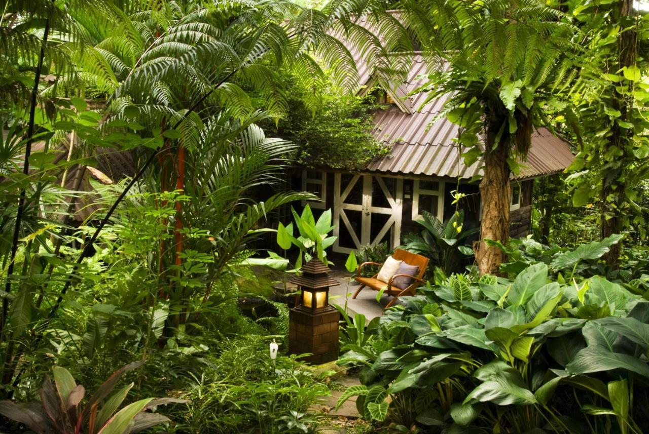 Rain Forest Resort Ban Pak Yang Exteriér fotografie