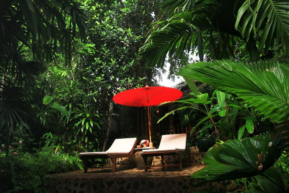 Rain Forest Resort Ban Pak Yang Exteriér fotografie